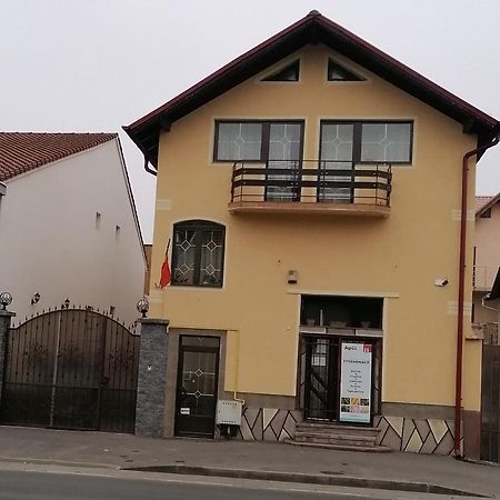 הוילה בראשוב Casa Tatar מראה חיצוני תמונה
