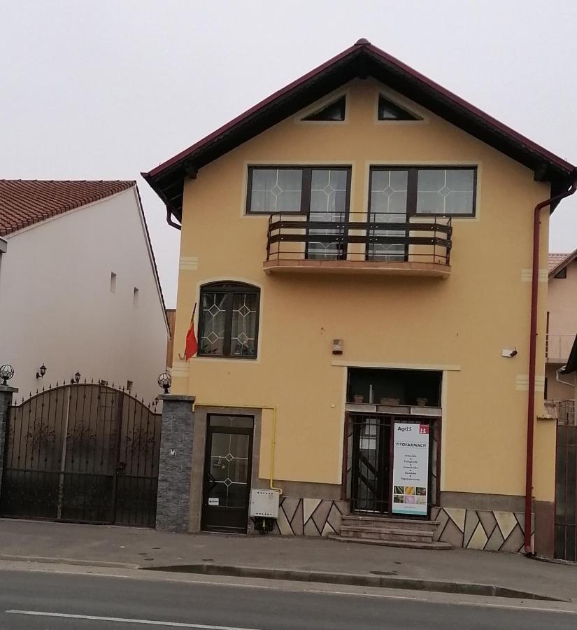 הוילה בראשוב Casa Tatar מראה חיצוני תמונה